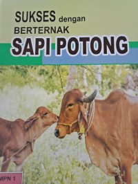 SUKSES DENGAN BERTERNAK SAPI POTONG