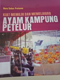 KIAT MEMILIH DAN MEMELIHARA AYAM KAMPUNG PETELUR