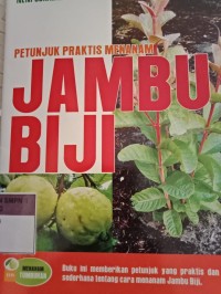 PETUNJUK PRAKTIS MENANAM JAMBU BIJI