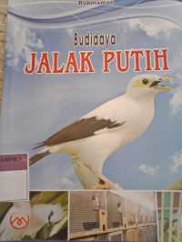 BUDIDAYA JALAK PUTIH