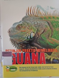 PETUNJUK PRAKTIS MEMELIHARA IGUANA