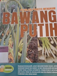 PETUNJUK PRAKTIS MENANAM BAWANG PUTIH