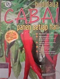BUDIDAYA CABAI PANEN SETIAP HARI