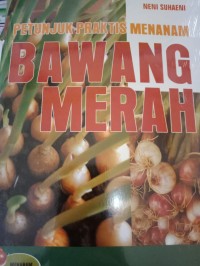 PETUNJUK PRAKTIS MENANAM BAWANG MERAH