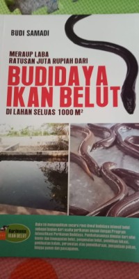 MERAUP LABA RATUSAN JUTA RUPIAH DARI BUDIDAYA IKAN BELUT DI LAHAN SELUAS 1000 M2