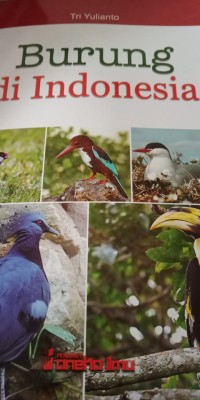 BURUNG DI INDONESIA