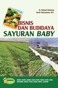 BISNIS DAN BUDIDAYA SAYURAN BABY